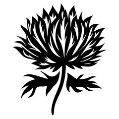 A Striking Black and White Stylized Floral Illustration of a Flower Possibly a Thistle or similar plant with intricate details
