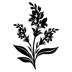 Elegant Black and White Floral Illustration Botanical Silhouette Flower Graphic Design