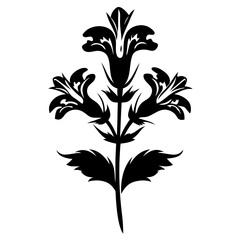 Elegant Black and White Floral Illustration Three Flower Stem Botanical Design