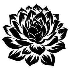 Black and White Floral Design Elegant Succulent Flower Botanical Illustration