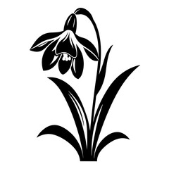 Black and White Silhouette of a Single Snowdrop Flower with Elegant Leaves