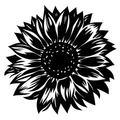 A Stunning Black and White Illustration of a Sunflower in Full Bloom Botanical Art