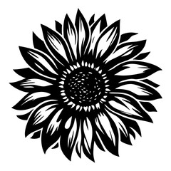 A Stunning Black and White Illustration of a Sunflower Blossom