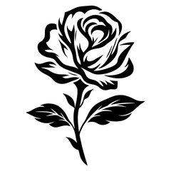 Elegant Black and White Rose Illustration Botanical Floral Design Graphic Art