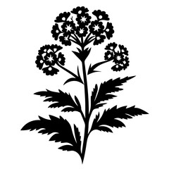 Elegant Black and White Silhouette of a Flowering Plant Botanical Illustration