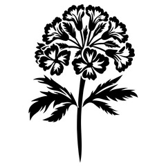Elegant Black and White Floral Illustration of a Stylized Flower with Detailed Petals and Leaves