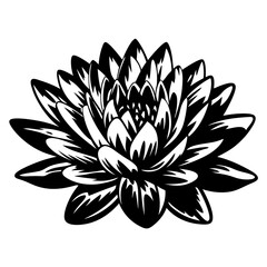 A Stunning Black and White Illustration of a Lotus Flower with Intricate Petals