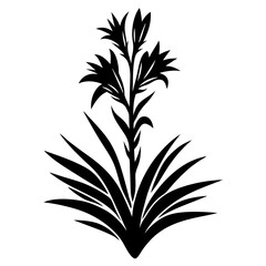 Silhouette of a flowering plant with long leaves and multiple blossoms