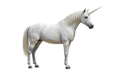 Isolated Unicorn © Emma