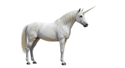 Isolated Unicorn