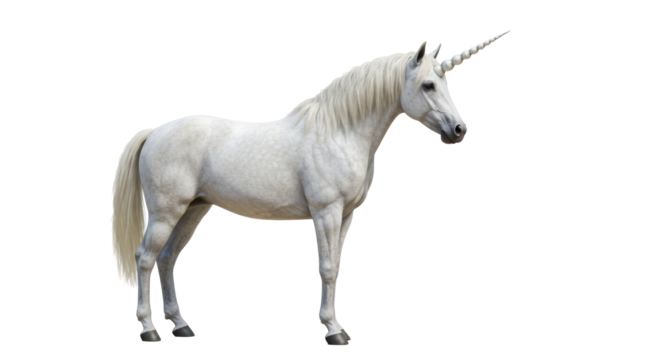 Isolated Unicorn
