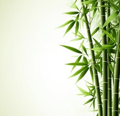Fototapeta premium Bamboo sticks with green leaves on a white background