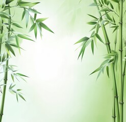 Fototapeta premium Bamboo sticks with green leaves on a white background