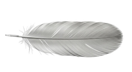 Isolated White Feather
