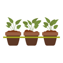 Gardening Supplies and Vegetable Cultivation Icons Set