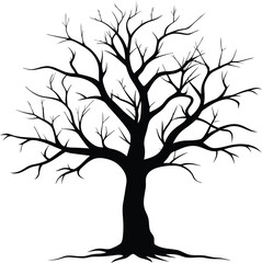 Obraz premium Dead or Leafless Tree Silhouette