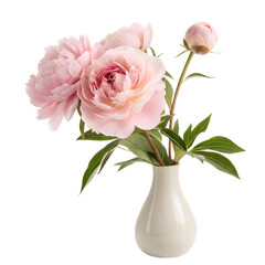 Pink Peonies in Vase