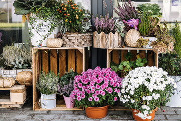 Arrangement of potted flowers and foliage displayed on wooden crates outside a storefront. Natural textures, green business, sustainable floristry