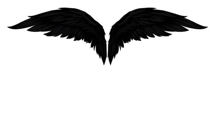 Dynamic black wings display artistic design digital artwork abstract close-up visual impact