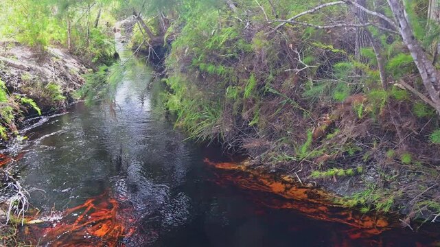 Seary's Creek, Cooloola Coast, Rainbow Beach, rust red tannin stained water swimming hole, natural pigment color colour from trees, travel tourist destination