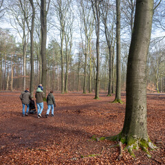 family walks in winter forest near utrecht in the netherlands