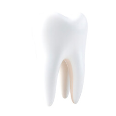 tooth  with transparent background PNG and JPEG image	