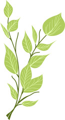 Plant Vector Illustration 
