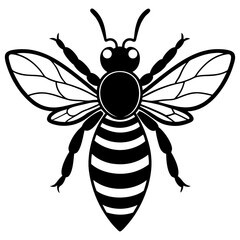 bee vector illustration