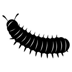 worm isolated on white background