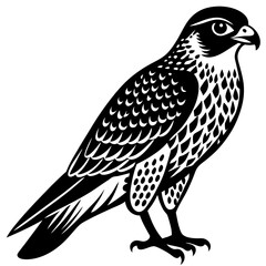 bird of prey
