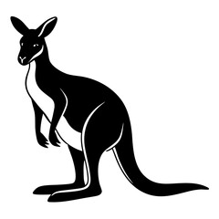 kangaroo vector illustration