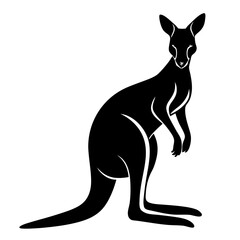 kangaroo vector illustration