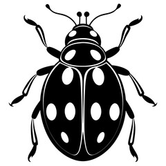 ladybird vector illustration