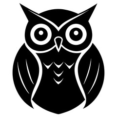 owl on white background