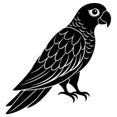 bird on a branch