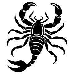 scorpion vector illustration