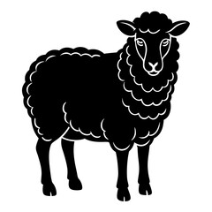 vector illustration of sheep