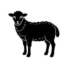 sheep vector illustration