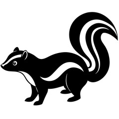 vector image of a cat