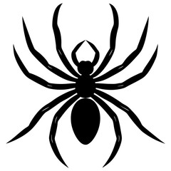 spider on a white background