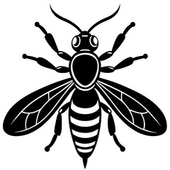 bee vector illustration