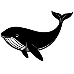 shark vector illustration