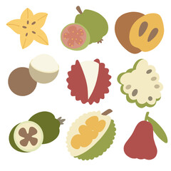 A colorful and playful vector illustration featuring nine distinct tropical and exotic fruits. Each fruit is depicted in a simple, flat style with clean outlines and vibrant colors.