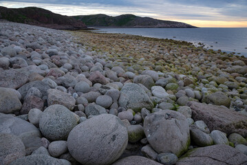 The coast of the Barents Sea at white night. Kola Peninsula