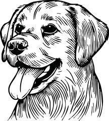 Dog, puppy hand drawn line style vector illustration isolated on white background