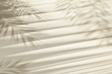 White gray sun shadow of leaves tree plant and window frames on white brown wall. Sunlight shining through window overlay effect shadows