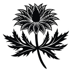 Elegant Black and White Thistle Flower Illustration