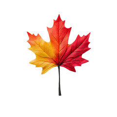Obraz premium Png of A vibrant red and yellow maple leaf isolated on a black background, showcasing the beauty of autumn colors.