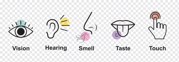 Human sense icons. Five human senses icons. Vision smell hearing touch taste senses fillings. Five fillings icons. Vector Illustration. Vector Graphic. 