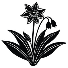 Black and White Floral Illustration Daffodil and Bell Flower
